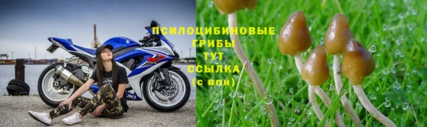 СК Абинск